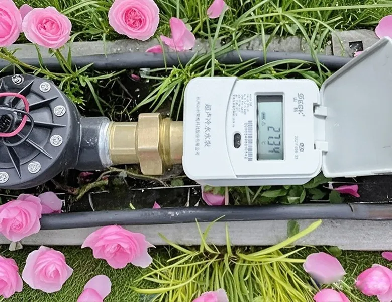 杭州“頂流”驚艷全國，山科如何守護城市“空中花廊”